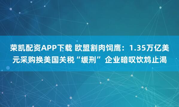 荣凯配资APP下载 欧盟割肉饲鹰：1.35万亿美元采购换美国关税“缓刑” 企业暗叹饮鸩止渴