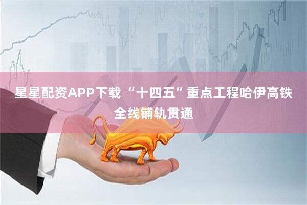星星配资APP下载 “十四五”重点工程哈伊高铁全线铺轨贯通