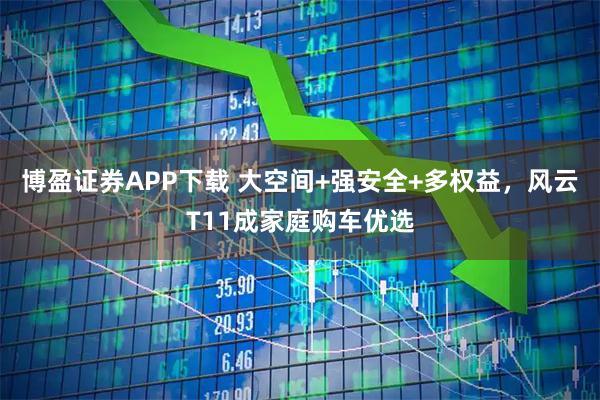 博盈证券APP下载 大空间+强安全+多权益，风云T11成家庭购车优选