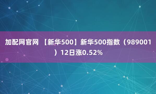 加配网官网 【新华500】新华500指数(989001)12日涨0.52%