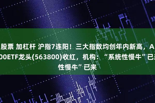 股票 加杠杆 沪指7连阳!三大指数均创年内新高,A500ETF龙头(563800)收红,机构:“系统性慢牛”已来